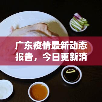 广东疫情最新动态报告,今日更新消息汇总