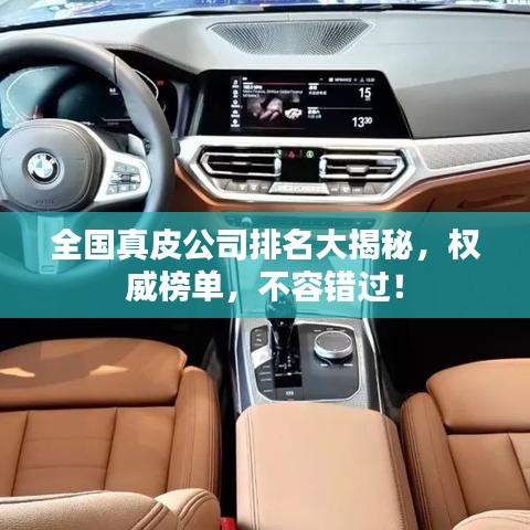 全国真皮公司排名大揭秘，权威榜单，不容错过！
