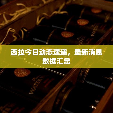 西拉今日动态速递,最新消息数据汇总