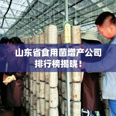 山东省食用菌增产公司排行榜揭晓！