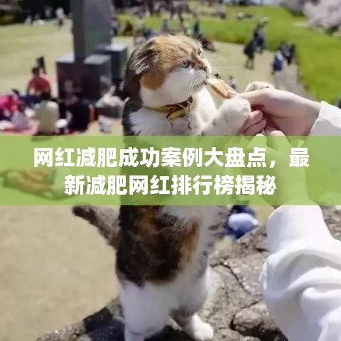 网红减肥成功案例大盘点,最新减肥网红排行榜揭秘