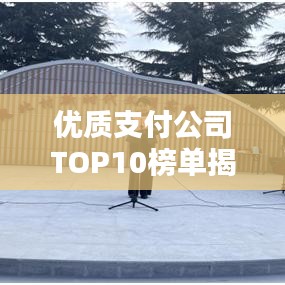 优质支付公司TOP10榜单揭晓,行业引领者,树立标杆