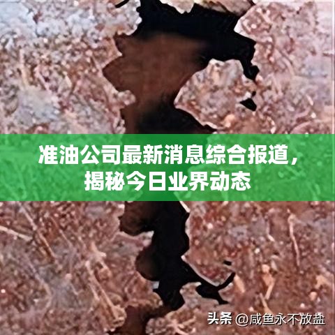 不飞则已 第4页