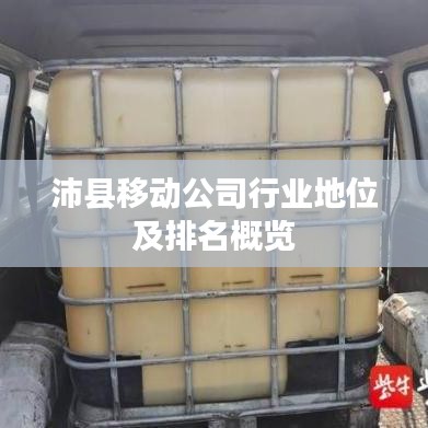 沛县移动公司行业地位及排名概览