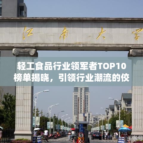 轻工食品行业领军者TOP10榜单揭晓,引领行业潮流的佼佼者大放异彩!