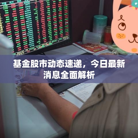 基金股市动态速递,今日最新消息全面解析