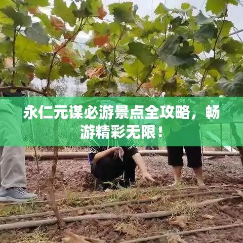 永仁元谋必游景点全攻略，畅游精彩无限！