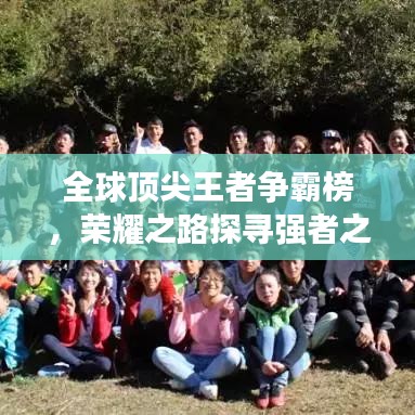 全球顶尖王者争霸榜，荣耀之路探寻强者之巅