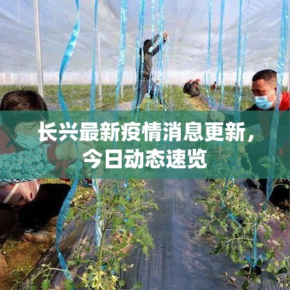 长兴最新疫情消息更新,今日动态速览