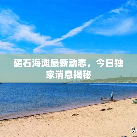 碣石海滩最新动态，今日独家消息揭秘