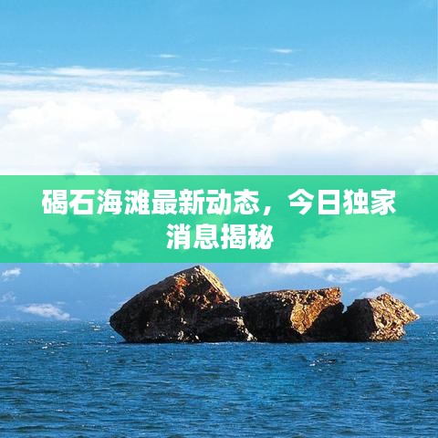 碣石海滩最新动态,今日独家消息揭秘