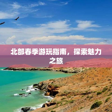 北部春季游玩指南，探索魅力之旅