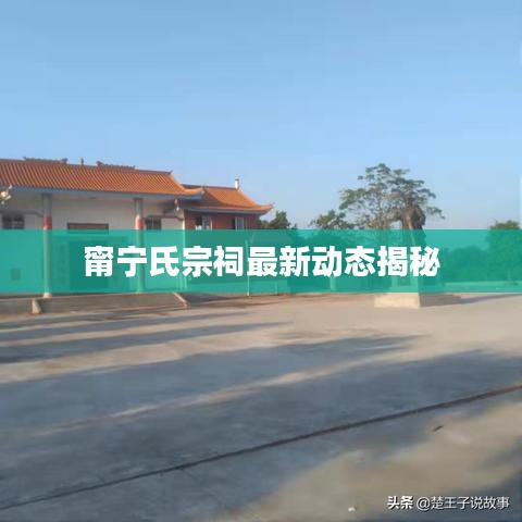 反正还淳 第5页