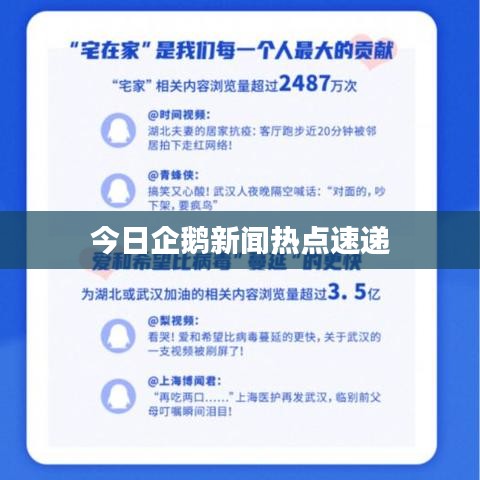 今日企鹅新闻热点速递
