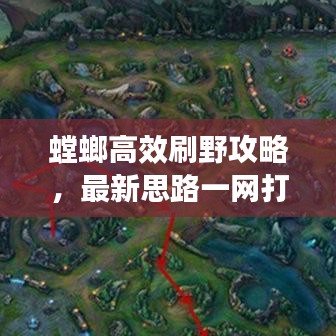 螳螂高效刷野攻略,最新思路一网打尽!