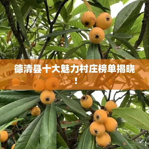 德清县十大魅力村庄榜单揭晓！