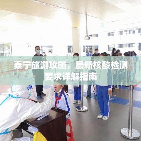 泰宁旅游攻略，最新核酸检测要求详解指南