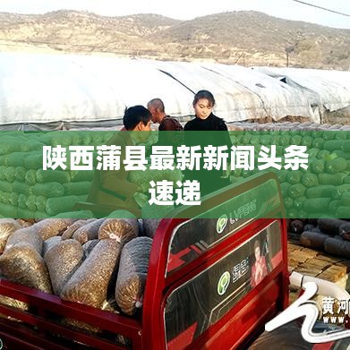 陕西蒲县最新新闻头条速递