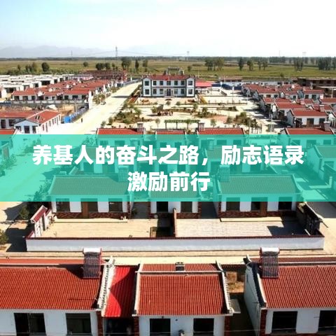 矫揉造作 第4页