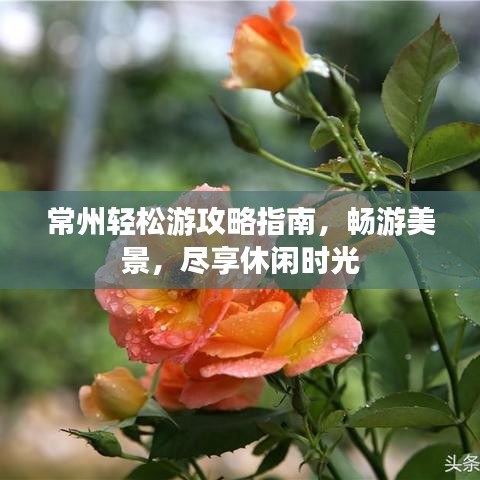 常州轻松游攻略指南,畅游美景,尽享休闲时光