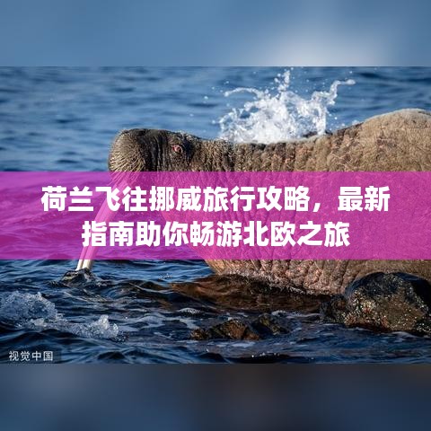 荷兰飞往挪威旅行攻略，最新指南助你畅游北欧之旅