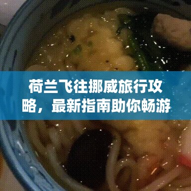 荷兰飞往挪威旅行攻略,最新指南助你畅游北欧之旅