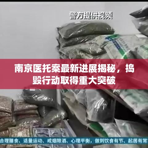 南京医托案最新进展揭秘,捣毁行动取得重大突破