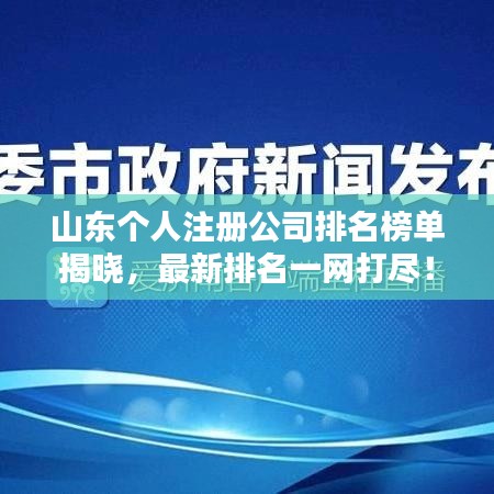 山东个人注册公司排名榜单揭晓,最新排名一网打尽!