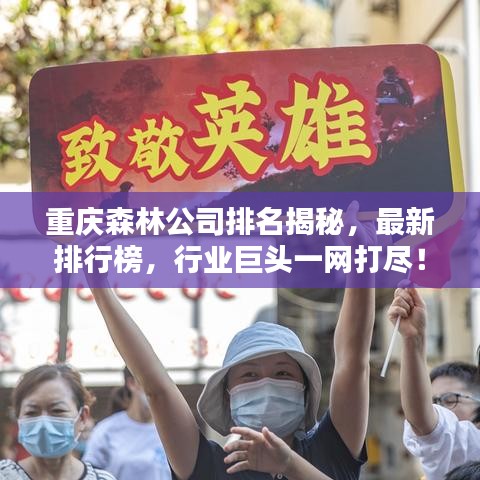 重庆森林公司排名揭秘，最新排行榜，行业巨头一网打尽！