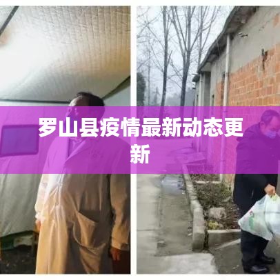 罗山县疫情最新动态更新