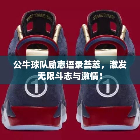 公牛球队励志语录荟萃,激发无限斗志与激情!