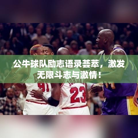 公牛球队励志语录荟萃,激发无限斗志与激情!