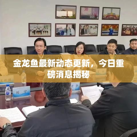 金龙鱼最新动态更新，今日重磅消息揭秘