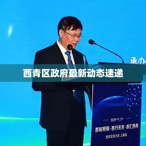 西青区政府最新动态速递