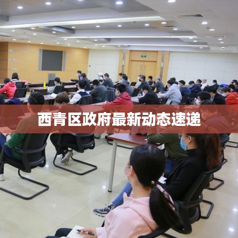 西青区政府最新动态速递