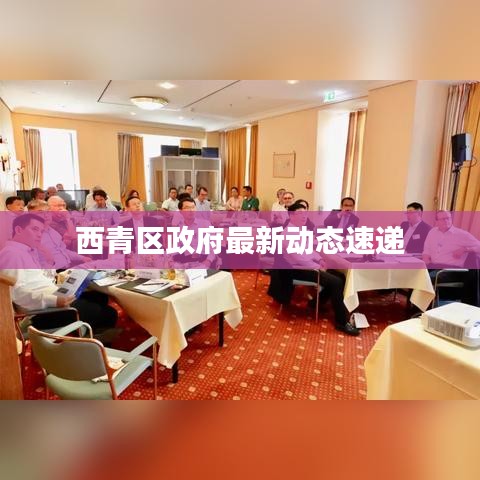 西青区政府最新动态速递