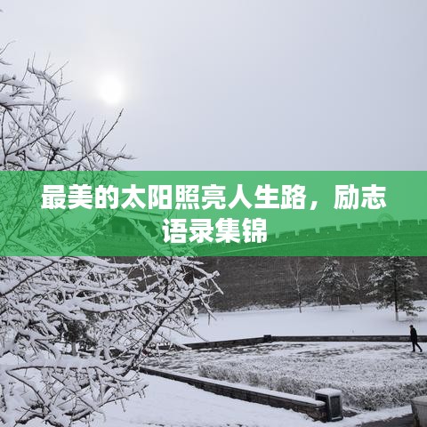 最美的太阳照亮人生路,励志语录集锦