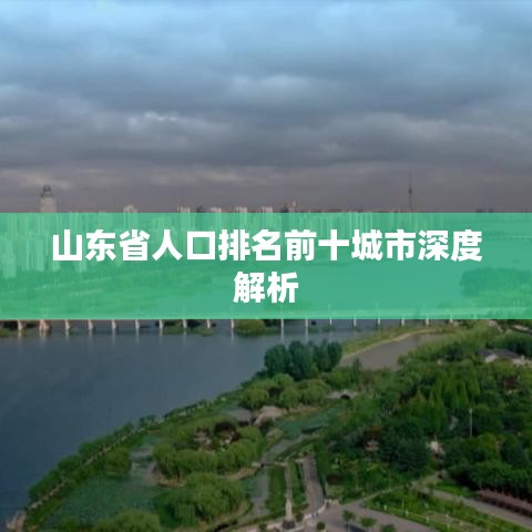 山东省人口排名前十城市深度解析