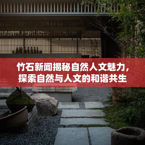 竹石新闻揭秘自然人文魅力,探索自然与人文的和谐共生