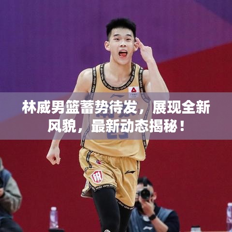 林威男篮蓄势待发，展现全新风貌，最新动态揭秘！