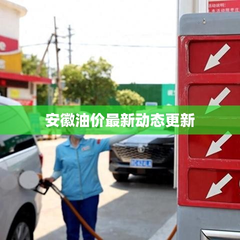 安徽油价最新动态更新