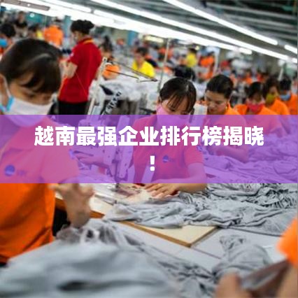 越南最强企业排行榜揭晓！