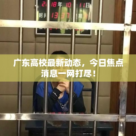 广东高校最新动态,今日焦点消息一网打尽!