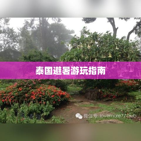 泰国避暑游玩指南