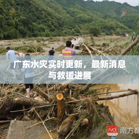 广东水灾实时更新，最新消息与救援进展