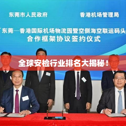 全球安检行业排名大揭秘!