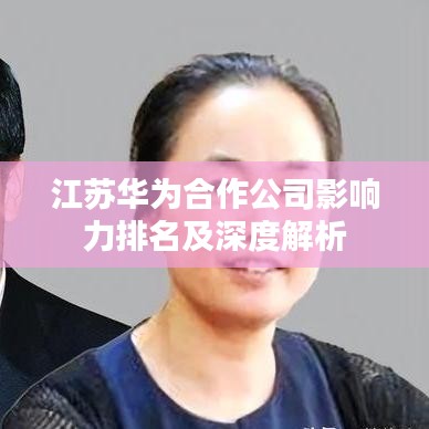 江苏华为合作公司影响力排名及深度解析