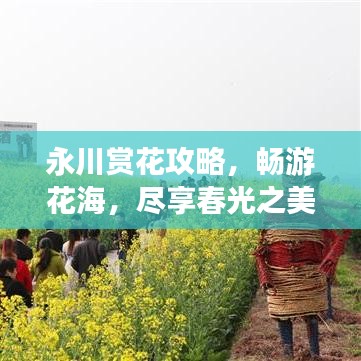 永川赏花攻略，畅游花海，尽享春光之美