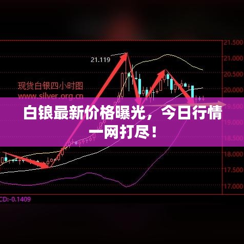 白锒最新价格曝光，今日行情一网打尽！