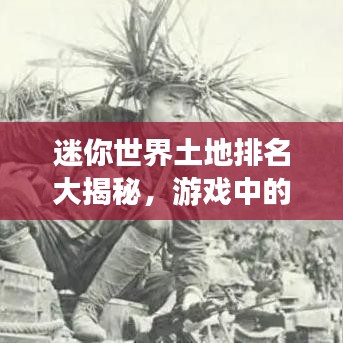 迷你世界土地排名大揭秘,游戏中的土地霸权探索之旅!
